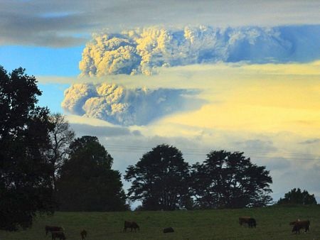 Núi lửa Chile biến bầu trời thành đen kịt - 8