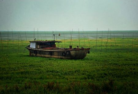 Hạn hán nghiêm trọng, hồ lớn nhất Trung Quốc thành “thảo nguyên” - 1