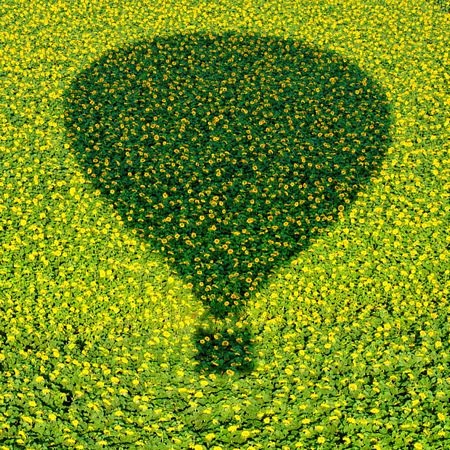 Những hình ảnh nổi bật tuần qua - 13