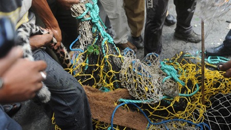 Hãi hùng cảnh báo hoang tấn công 6 người - 8