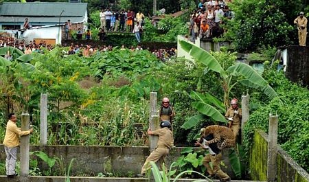 Hãi hùng cảnh báo hoang tấn công 6 người - 2