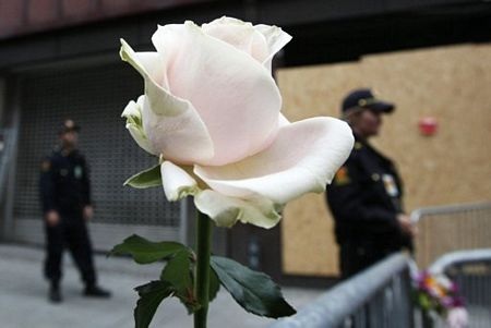 100.000 người tham gia “tuần hành hoa hồng” ở Na Uy - 16