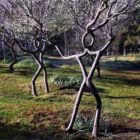 Những hình ảnh nổi bật tuần qua - 12