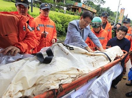 Lở đất kinh hoàng tại Hàn Quốc, 19 người chết - 9