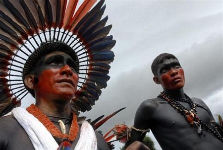 Khám phá vùng rừng Amazon - 15