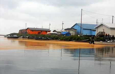 “Thuỷ triều vàng” bí ẩn xuất hiện tại Mỹ - 1 “Thuỷ triều vàng” bí ẩn xuất hiện tại Mỹ - 1