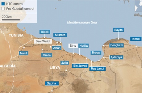 Gadhafi kêu gọi dân Libya biểu tình rầm rộ - 2 Gadhafi kêu gọi dân Libya biểu tình rầm rộ - 2