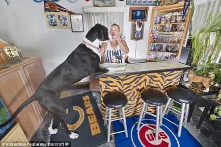 Lộ diện con chó cái cao nhất thế giới - 3