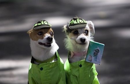 Những hình ảnh ấn tượng tuần qua - 15