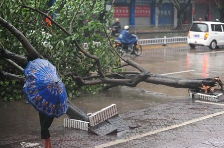 Hình ảnh bão Nesat đổ bộ vào Trung Quốc - 5 Hình ảnh bão Nesat đổ bộ vào Trung Quốc - 5