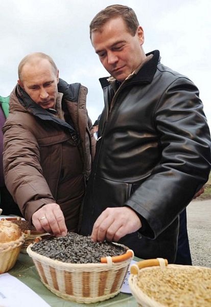 Bộ đôi quyền lực Nga đi thu hoạch ngô - 8