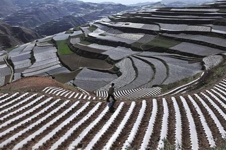 Thế giới 7 tỷ người: Những góc nhìn đa chiều  - 16