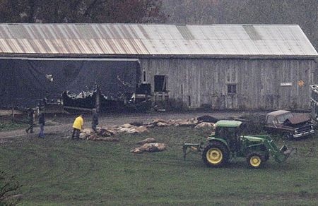 Hãi hùng vụ gần 50 thú dữ bị bắn chết tại Mỹ - 1