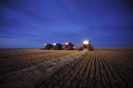 Thế giới 7 tỷ người: Những góc nhìn đa chiều  - 19