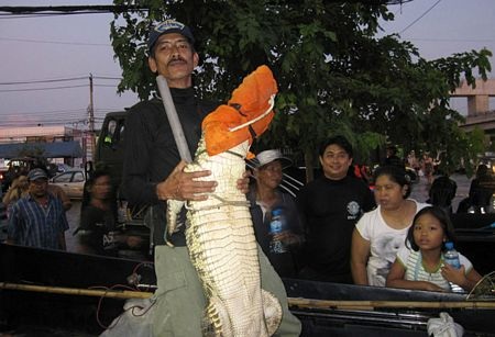 Hãi hùng cảnh cá sấu sổng chuồng trong lũ ở Thái Lan - 9