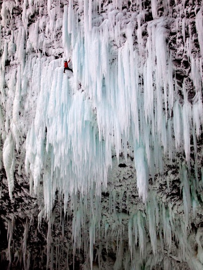 Những hình ảnh nổi bật tuần qua - 11