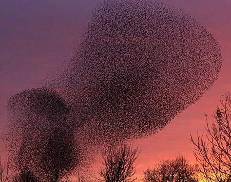 Những hình ảnh nổi bật tuần qua - 10