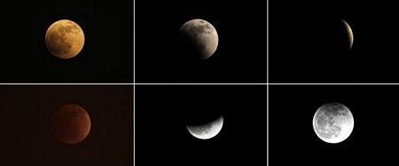 Thế giới chiêm ngưỡng hiện tượng “gấu ăn trăng” - 14 Thế giới chiêm ngưỡng hiện tượng “gấu ăn trăng” - 14