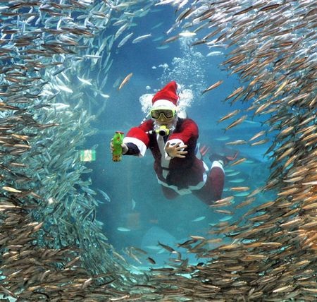 Những hình ảnh nổi bật tuần qua - 16