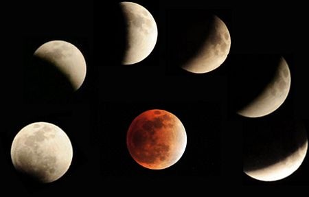 Thế giới chiêm ngưỡng hiện tượng “gấu ăn trăng” - 10 Thế giới chiêm ngưỡng hiện tượng “gấu ăn trăng” - 10