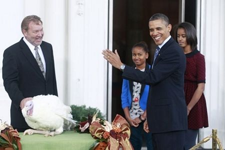Tổng thống Obama ân xá cho gà tây - 6 Tổng thống Obama ân xá cho gà tây - 6