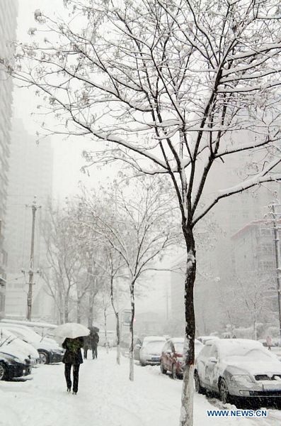 Tuyết phủ trắng miền bắc và trung Trung Quốc - 14