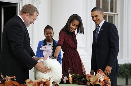 Tổng thống Obama ân xá cho gà tây - 8 Tổng thống Obama ân xá cho gà tây - 8