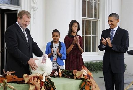 Tổng thống Obama ân xá cho gà tây - 9 Tổng thống Obama ân xá cho gà tây - 9