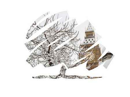 Thiệp mừng Giáng sinh của các chính trị gia - 8