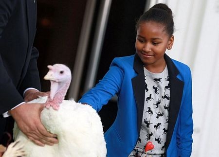 Tổng thống Obama ân xá cho gà tây - 10 Tổng thống Obama ân xá cho gà tây - 10