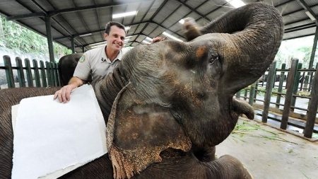 Biến phân voi thành… giấy viết! - 1