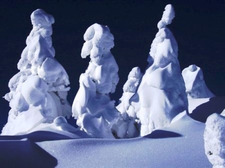 Ngắm “quái vật” cực đẹp ở Nhật Bản - 1 Ngắm “quái vật” cực đẹp ở Nhật Bản - 1