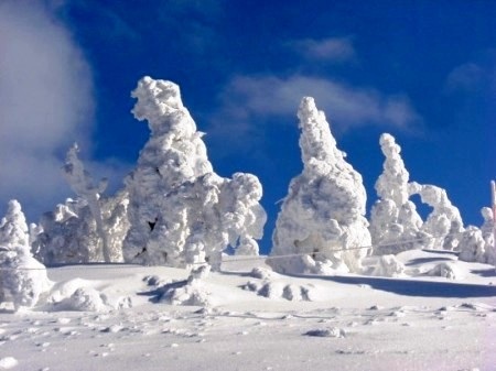 Ngắm “quái vật” cực đẹp ở Nhật Bản - 2 Ngắm “quái vật” cực đẹp ở Nhật Bản - 2