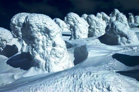 Ngắm “quái vật” cực đẹp ở Nhật Bản - 6 Ngắm “quái vật” cực đẹp ở Nhật Bản - 6