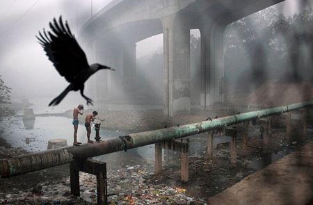 Những hình ảnh nổi bật tuần qua - 16