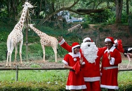 Giáng sinh vòng quanh thế giới - 8