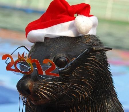 Những hình ảnh nổi bật tuần qua - 11