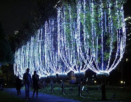 Giáng sinh vòng quanh thế giới - 15