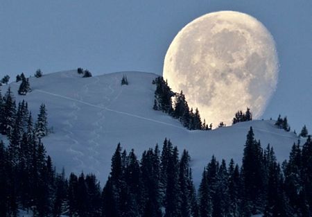 Những hình ảnh ấn tượng tuần qua - 12