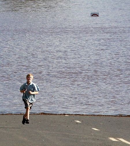 Australia: Hiếm gặp cảnh nhện chạy lụt giăng tơ khắp chốn