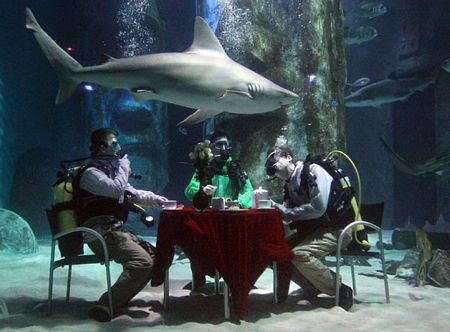 Những hình ảnh nổi bật tuần qua - 11