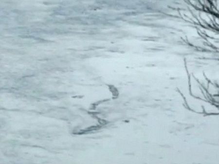 Iceland xôn xao video quái vật khổng lồ - 1 Iceland xôn xao video quái vật khổng lồ - 1