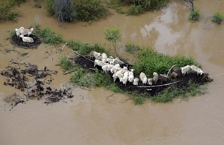 Australia: “Giặc nước” hoành hành, sơ tán toàn bộ một thành phố  - 5