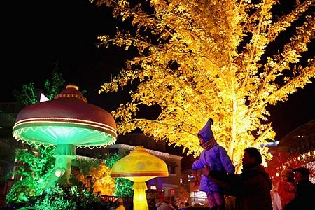 Rực rỡ lễ hội đèn lồng ở Trung Quốc - 11