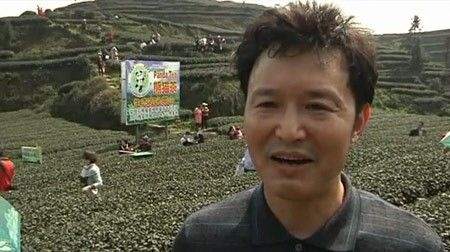 Hành trình tạo nên trà tiền tỉ trồng bằng phân gấu trúc