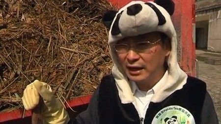 Hành trình tạo nên trà tiền tỉ trồng bằng phân gấu trúc