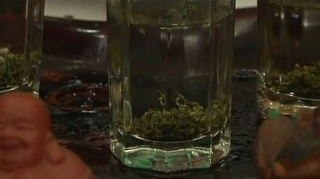 Hành trình tạo nên trà tiền tỉ trồng bằng phân gấu trúc