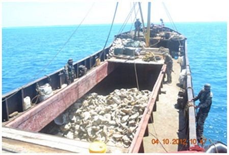 Ảnh diễn biến vụ đối đầu trên biển giữa Trung Quốc-Philippines