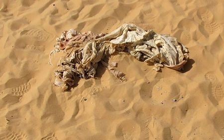 Tìm thấy chiến đấu cơ Thế chiến II trên sa mạc Sahara sau 70 năm