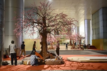 Một bé gái Mộc Châu phụ giúp bố mẹ bán đào.